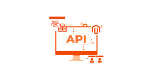 Magento API Integration Service