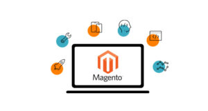 Magento Theme Development