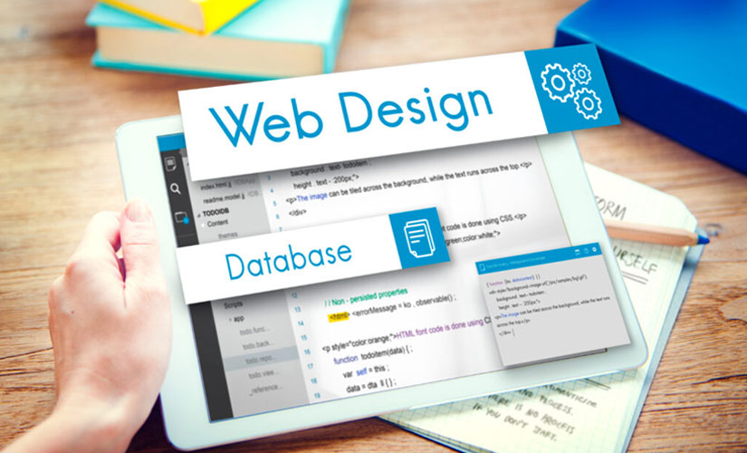 A Complete Guide to Custom Website Design and Development for Beginners
