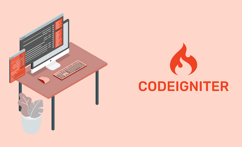 How to Choose the Best CodeIgniter Development Company for Your Business